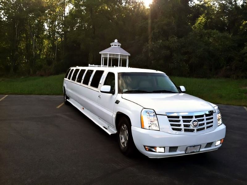 20 Passenger Limo